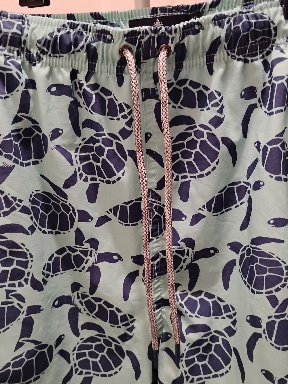RAINFOREST Mint and Navy Sea Turtle Swim Shorts